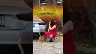 Почему мечты не сбываются