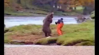 Rolig Björn - Funny Bear