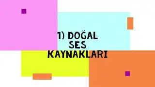 Çevremizdeki Sesler