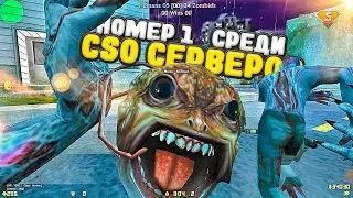[CS 1.6] ТОП 1 КСО СЕРВЕР в КС 1.6 !!! CS 1.6 Зомби Сервер с бесплатными привилегиями VIP+ADMIN+BOSS