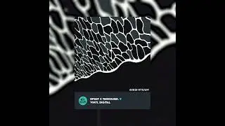 [Out Now] Going steady
