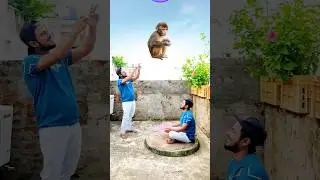 Dog cat monkey balloon funny magic vfx video 😄😂