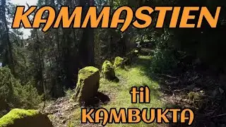 KAMMASTIEN - Leksvik's answer to Trollstigen!