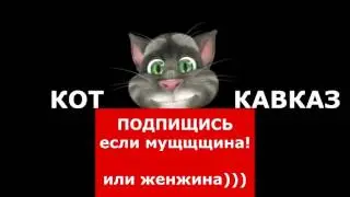 Кот Кавказ   Три в одном 9
