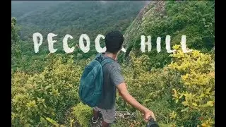 Peacock Hill (2018)