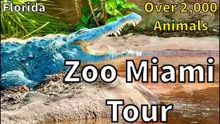 Tour of Zoo Miami [2026] - Miami, Florida - USA