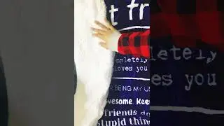 Funny Best Friend Blanket!