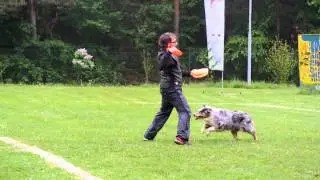 Luca & Maia USDDN Qualify 2014 Slovenia Freestyle Round 1