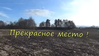 Нашел прекрасное место для копа! Поиск с металлоискателем!