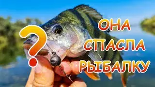 Эта приманка на окуня снова удивила!!! Рыбалка на МИКРОДЖИГ с берега.