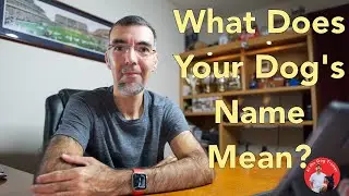 What Does Your Dog's Name Mean?  Al's Dog Training Tips S:3 EP:1
