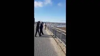 Прогулка по Мещере. Солнечный полдень.