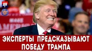 Эксперты предсказывают победу Трампа | Джимми Дор