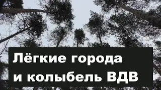 Лучшее видео про Булонский лес в Раменском