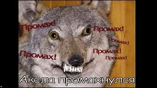 Маэстро глумится над лигой.