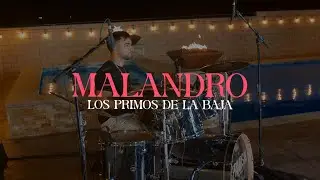 Malandro (En Vivo) - Los Primos de la Baja