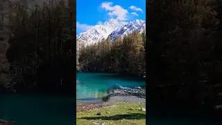 Naltar Valley Best View Scene #bestview #travel #pakistannorth #mountain #travelwithnadeem124 #hunza