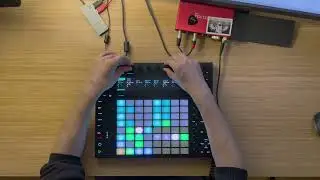 Push 2 Looping Performance on a Single Drum Rack