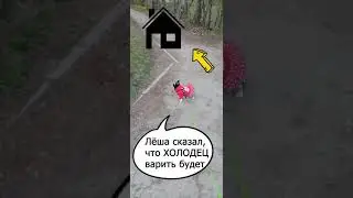 Холодец дома варится!