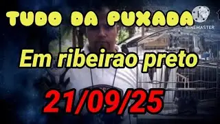 Puchada RIBEIRAO PRETO collar handling in the tournament