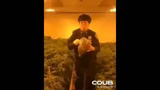 Дима для тебя! мультики сами себя не нарисуют!