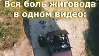 ВСЯ БОЛЬ ЖИГОВОДА В ОДНОМ ВИДЕО!