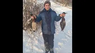 Охота на утку. Подстрелили 2 утки.