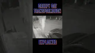 Creepy Cat Transforms... Skinwalker? Nah.