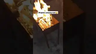 Жарим шашлычок🤤 #шашлык #шашлыкизговядины #шашлыкрецепт #шашлыкизбаранины #fy #fyp #rec