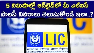 How To Check LIC Policy Details in Online Telugu || Tech Patashala