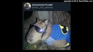 sgp x lazygod type beat