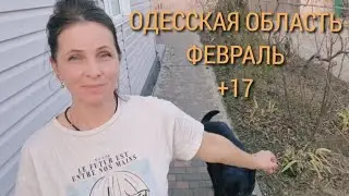 ФЕВРАЛЬ, А Я В ФУТБОЛКЕ! Безглютеновые блины: моё мнение. Кексы по рецепту 