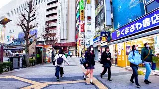 Tokyo Hachioji 🐶🍻 Hub Station ♪ 💖 4k non -stop 1 hour 01 minutes