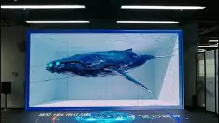 Naked Eye 3D Solution