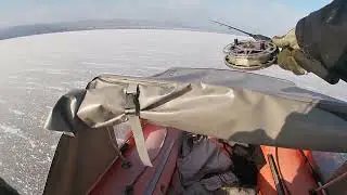 Первый судак в сезоне 22 23