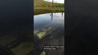 тувинские дебри