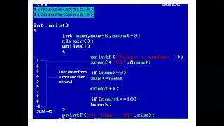 Program to Find Sum of 10 Numbers and Skip Negative Numbers Using infinite while loop