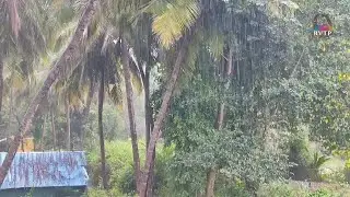 Beautiful Heavy Rain No Thunder Sounds Only Rain Sound Effect for Sleep Instantly.