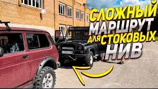 ОЧЕНЬ сложный лесной маршрут, Доехали не ВСЕ! Сток НИВЫ ЕДУТ!