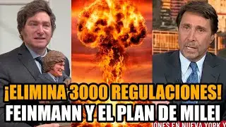 Feinmann FILTRÓ el PLAN de MILEI para eliminar 3000 regulaciones | Break Point