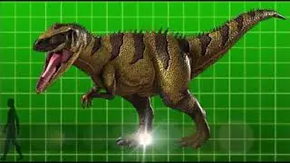 Dinosaur King All Dinosaur Cards (Updated)