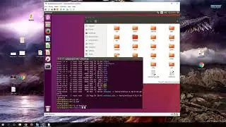 File Systems
