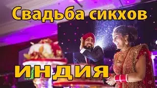 Свадьба Сикхов Штат Пенджаб Индия
