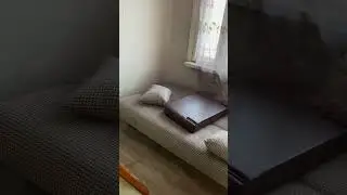 Квартира бомжатник 