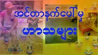 အင်တာနက်ပေါ်မှဟာသများ