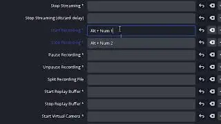 How to set Hotkeys Start Recording and Stop in OBS