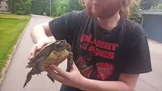 Turtle Ride Cigar Vibe