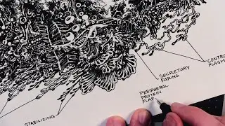 I figured out HOW LIFE ARRIVED ON EARTH -- An Illustrated Guide
