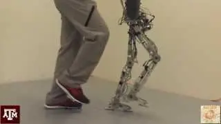 Human-Like Multi-Contact Walking with AMBER 2