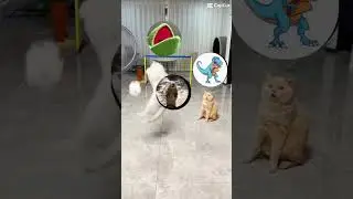 Me bitenote and tacosaurus Rex be like. 